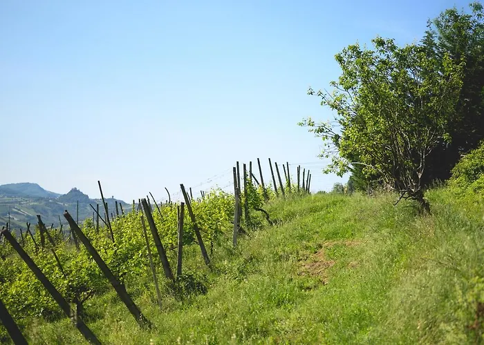 Agriturismo Oinoe